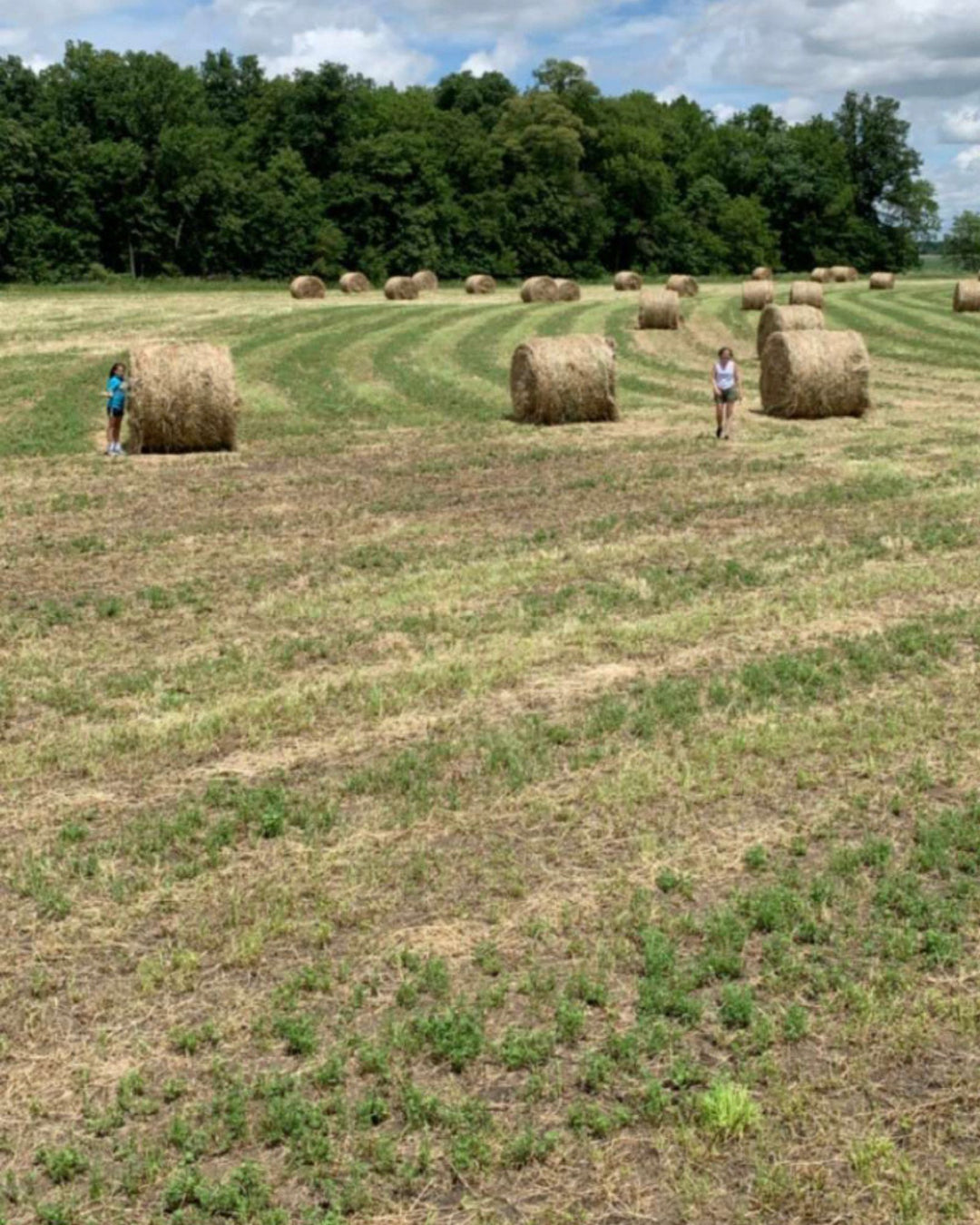 Balancing Act: A Mom's Journey on the Farm and at Work with FluidStance