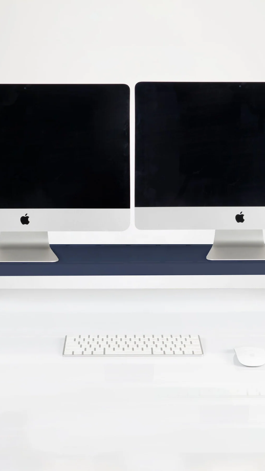 Double Monitor Stand