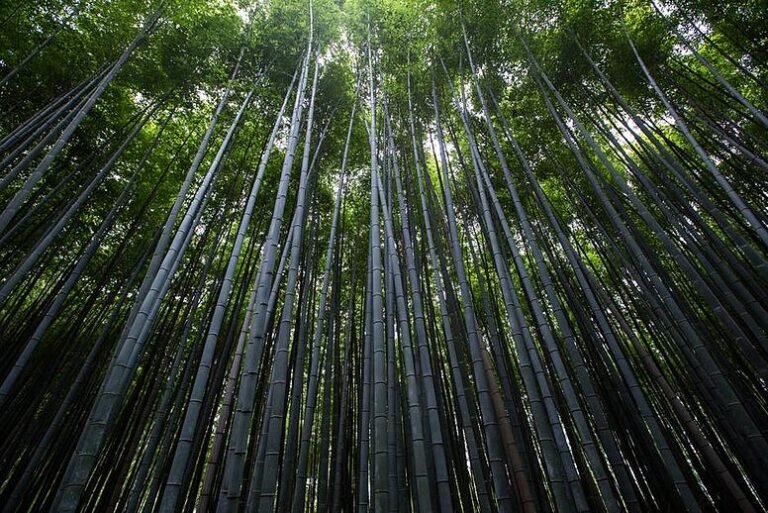 It’s Easy Being Green: How We Prioritize Sustainability at FluidStance - FluidStance