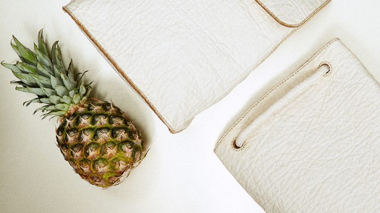 10 Sustainable Brands to Keep an Eye On