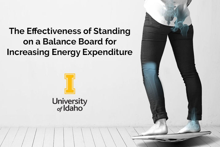 Energy Expenditure on the Level: Behind the Scenes of the Recent University of Idaho Study