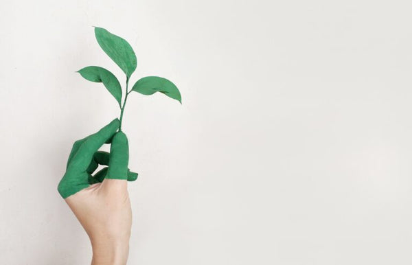 8 Tips for Going Green at Work