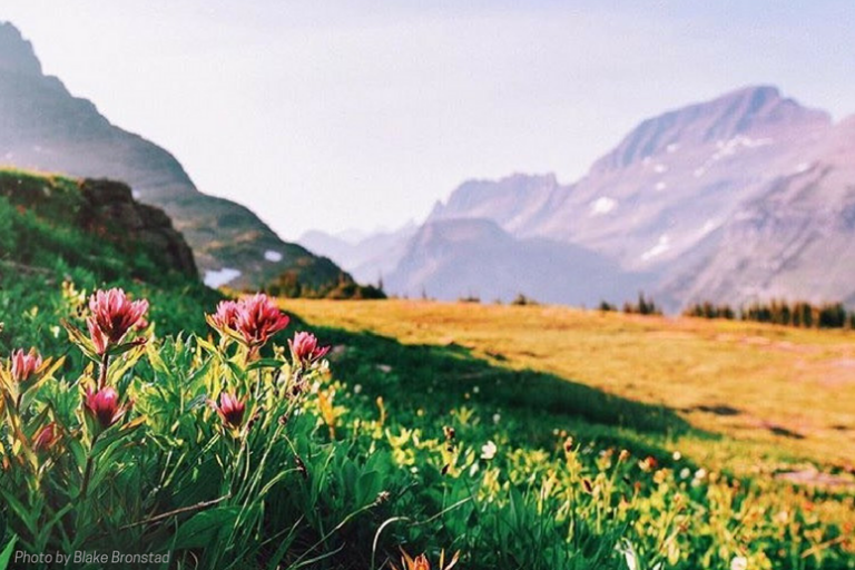4 Ways to Get Moving in Time for Spring - FluidStance