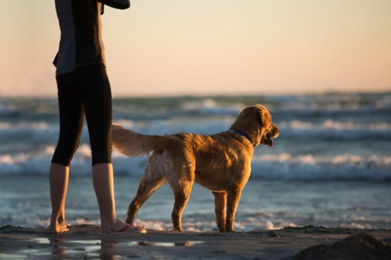 Owning a Dog is Good for Your Health – Here’s Why - FluidStance