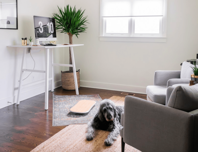 Home Office Renovation: The Reardenstein Collective - FluidStance